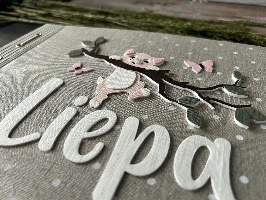 NUOTRAUKŲ ALBUMAS / PALINKĖJIMŲ KNYGA "IŠDYKĘS KAČIUKAS (Rožinis)"