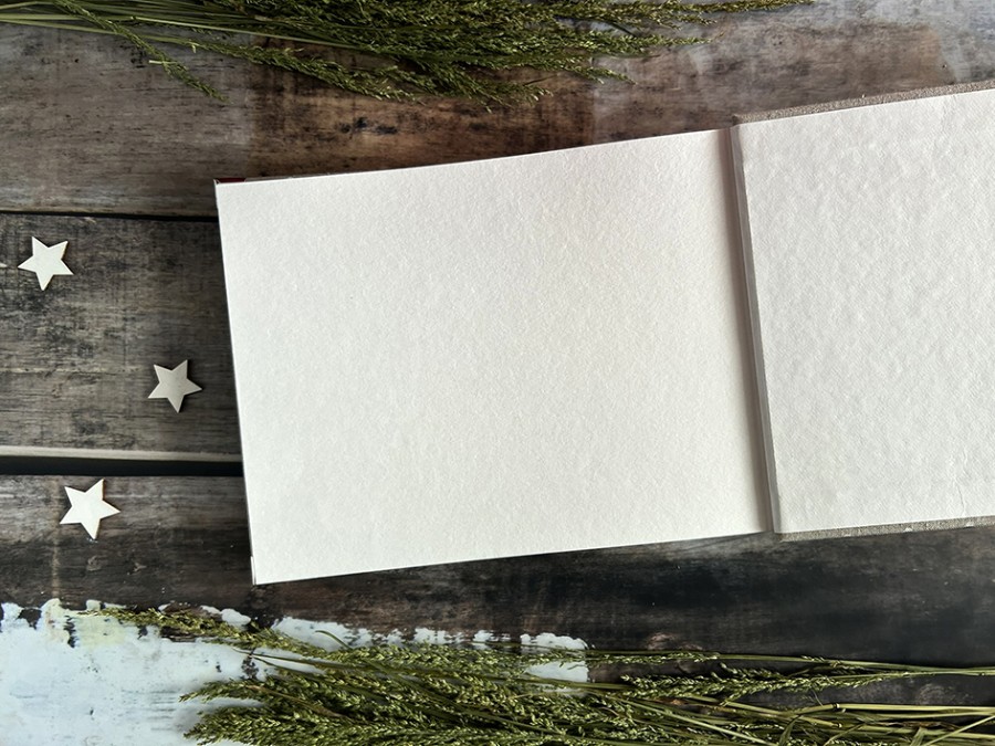 NUOTRAUKŲ ALBUMAS / PALINKĖJIMŲ KNYGA "IŠDYKĘS KAČIUKAS (Rožinis)"